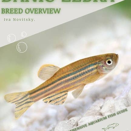 Books by splitShops - Wholesale Pets - Danio Zebra: From Novice to Expert. Comprehensive Aquarium Fish Guide - Paperback