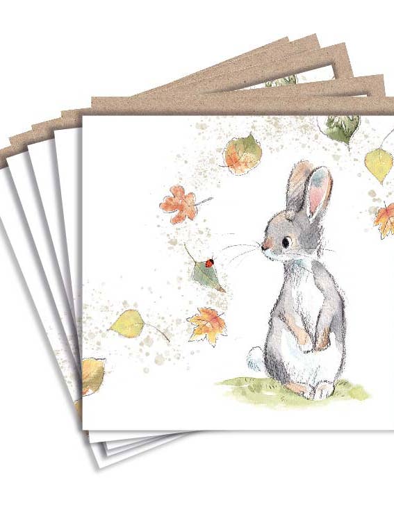 Notitiekaarten - 5 kaarten met enveloppen - Konijn - EPACK013 voor wholesale door Paper Shed Design Ltd