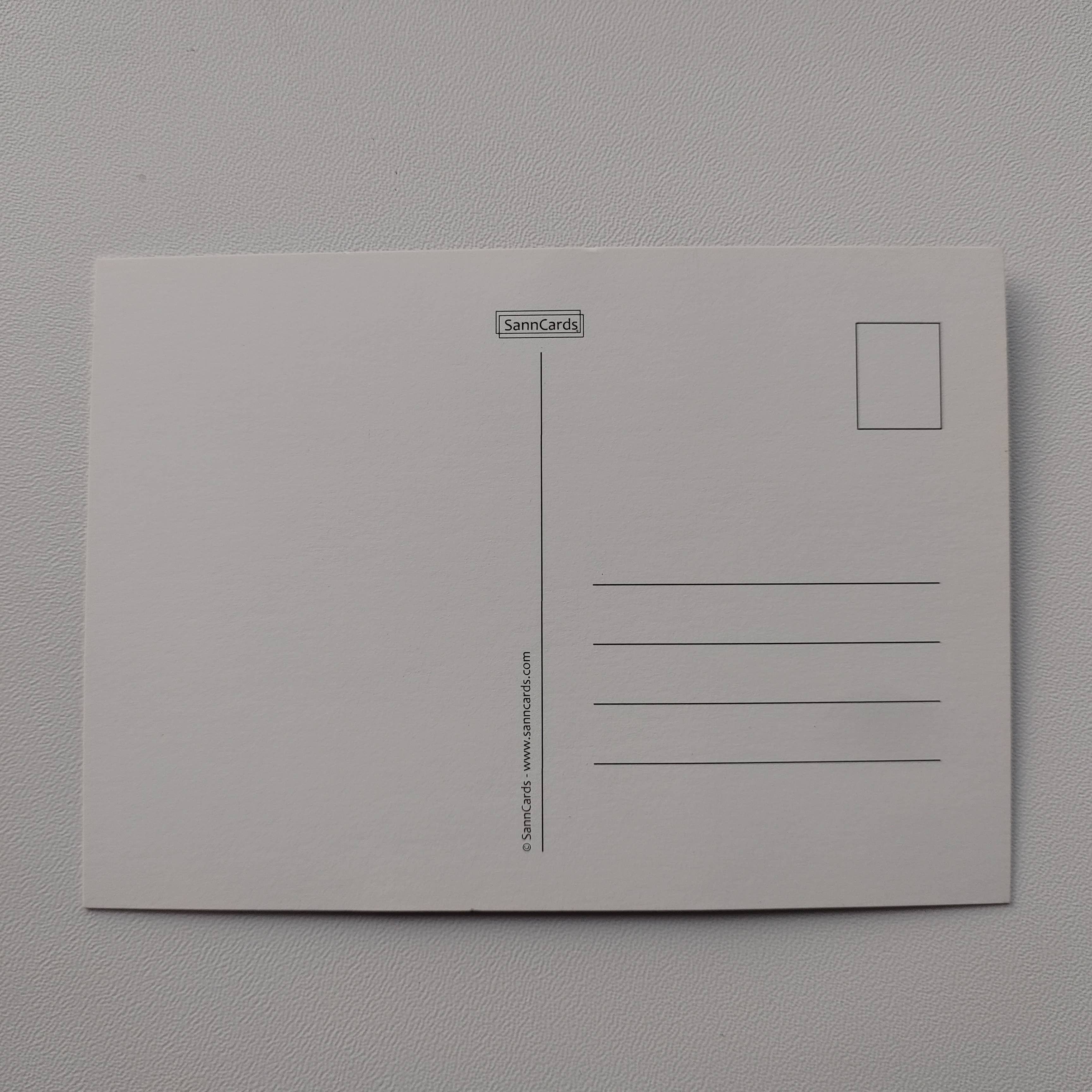 SannCards - Wholesale Everyday Greeting Card - Postcard - Parrot (2006)1