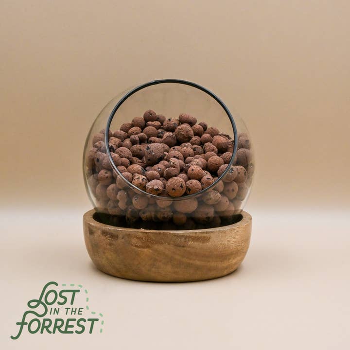Lost in the Forrest - Wholesale Planting/potting soil - Leca3