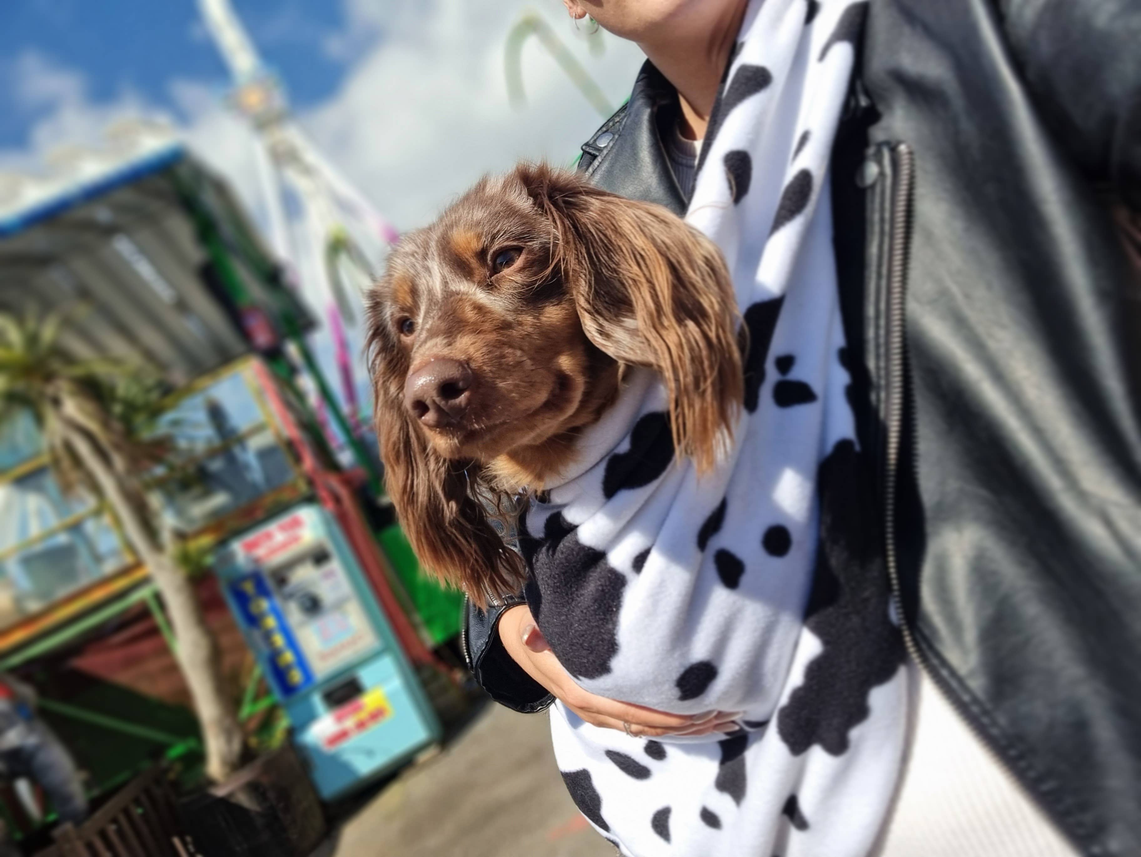 Hugo and Ted Ltd - Vente Caisse de transport – chien - Écharpe porte-chien en polaire4