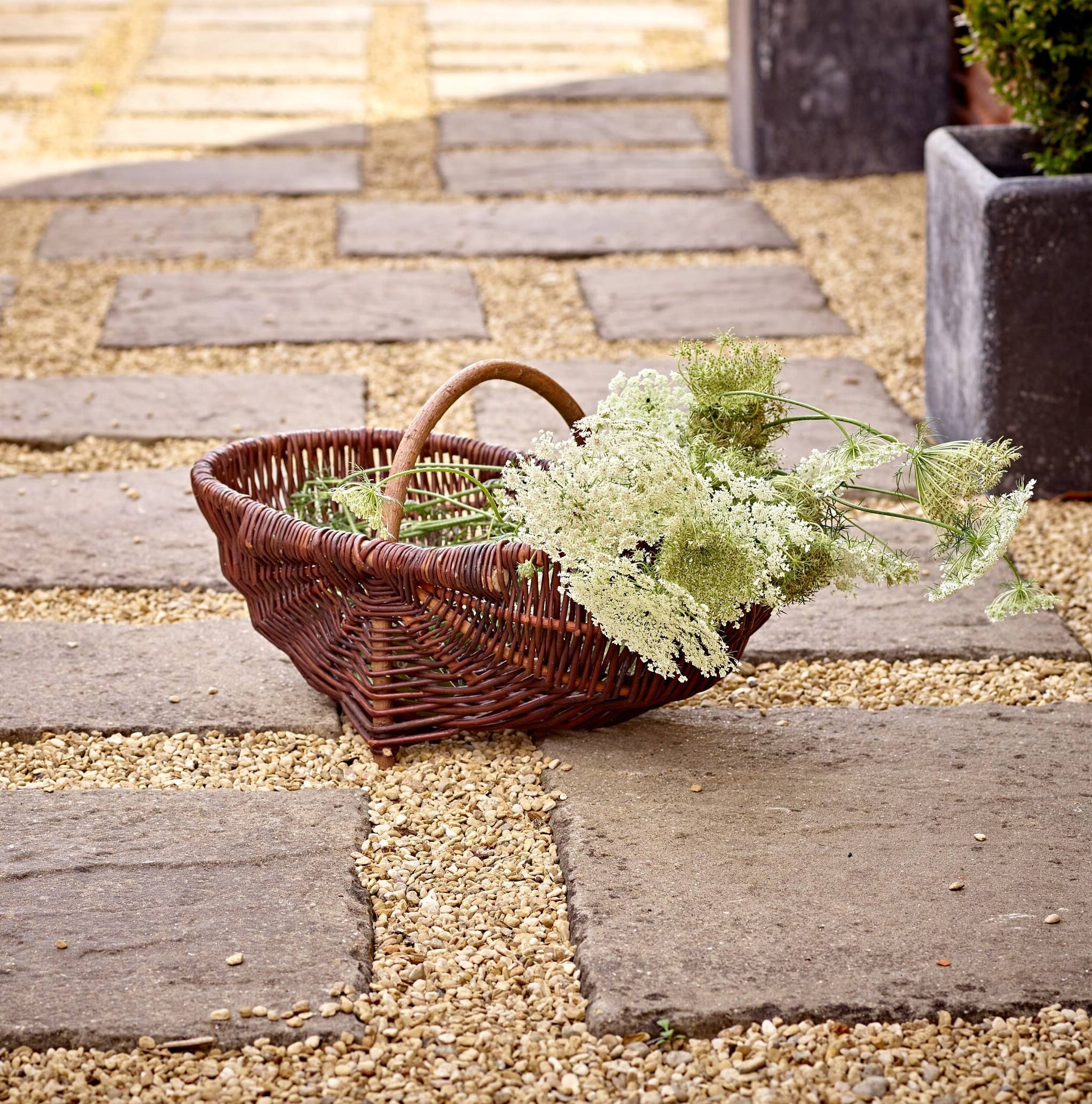 Gadsby – wholesale Garden caddy – Medium Wicker Garden Foraging Storage Trug - Unpeeled Willow1