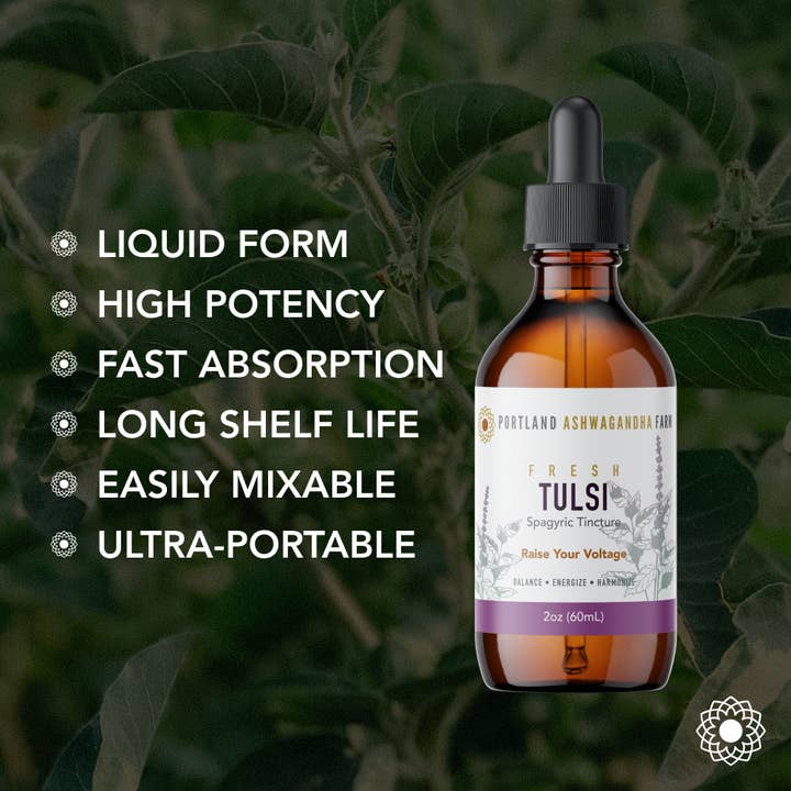Portland Ashwagandha Farm - Wholesale Tincture - Tulsi - Fresh Spagyric Tincture
