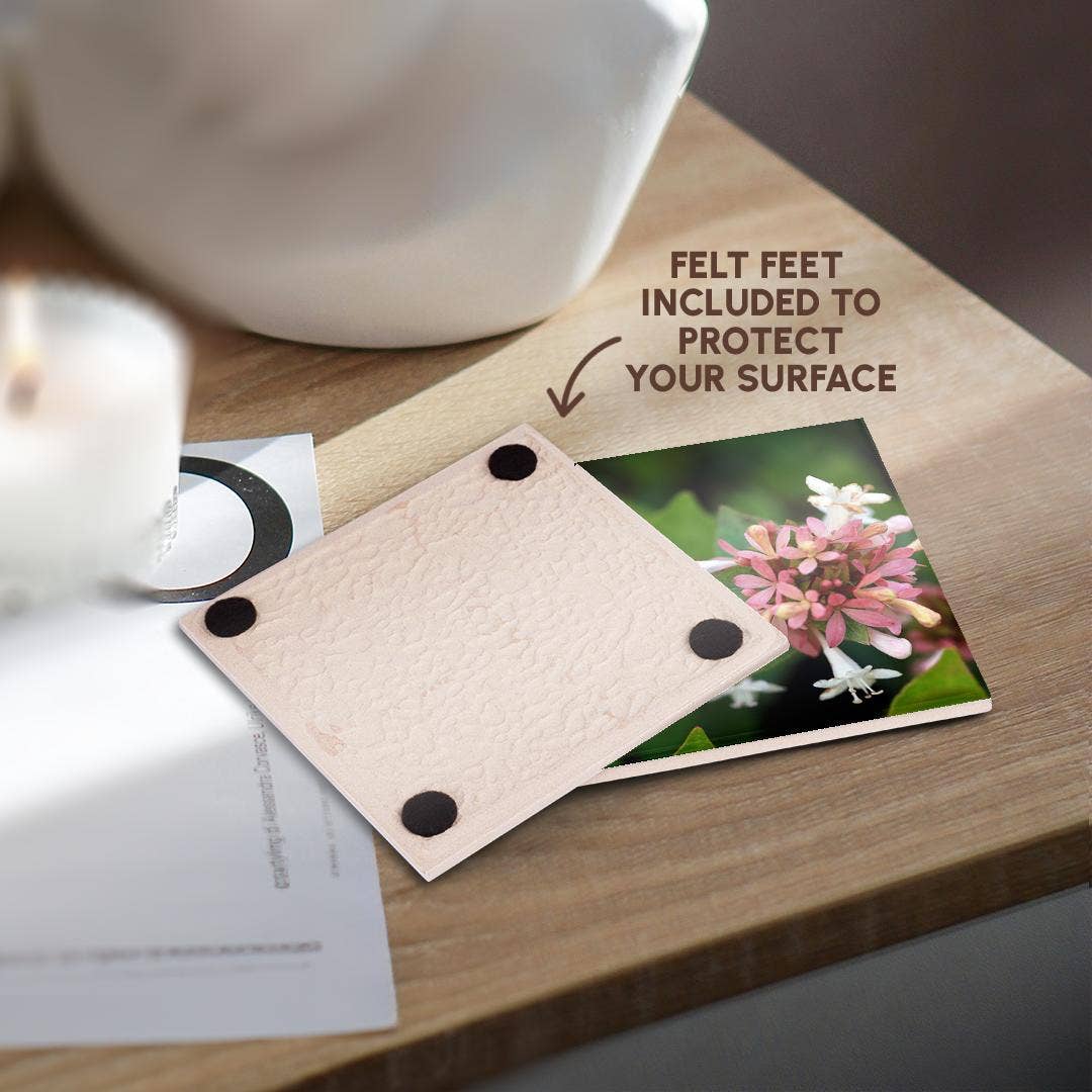 3dRose - Venta al por mayor Posavasos - 3dRose, Fotografía de una abeja con su cara metida en una flor de abelia., Posavasos3