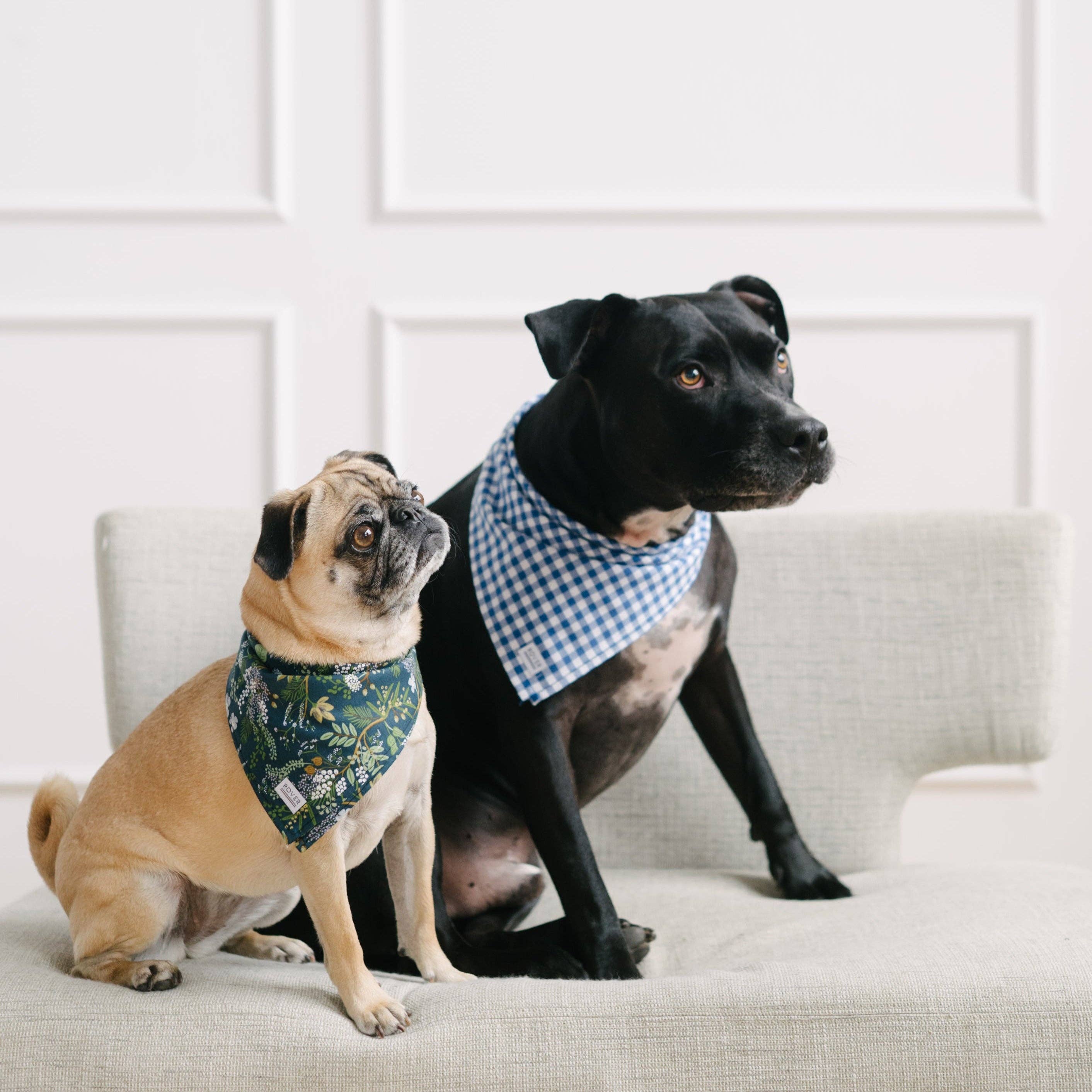 The Rover Boutique – Großhandel Haustier-Bandana – Hund – Königliches Gingham-Hundebandana2