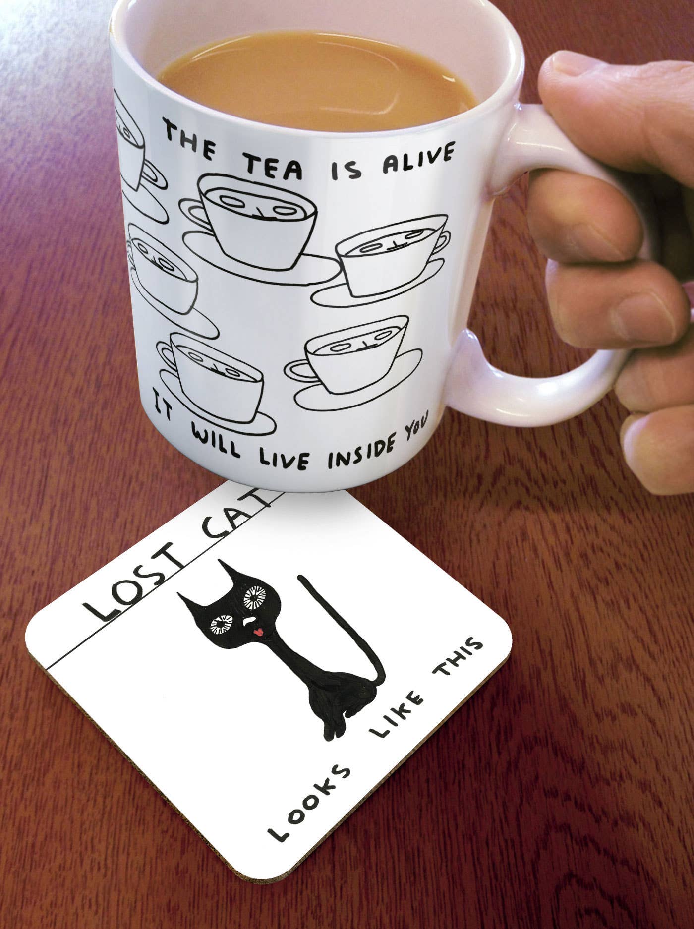 David Shrigley x Brainbox Candy - Wholesale Coasters - Funny Gift David Shrigley Coaster - Lost Cat1