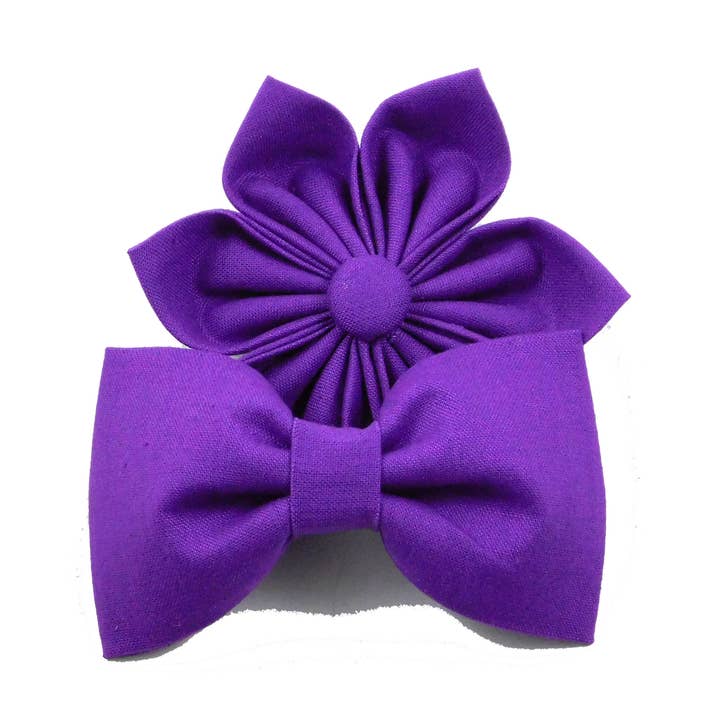 Noeud papillon et collier pour chien Violet Everyday pour la vente par Charlotte's Pet
