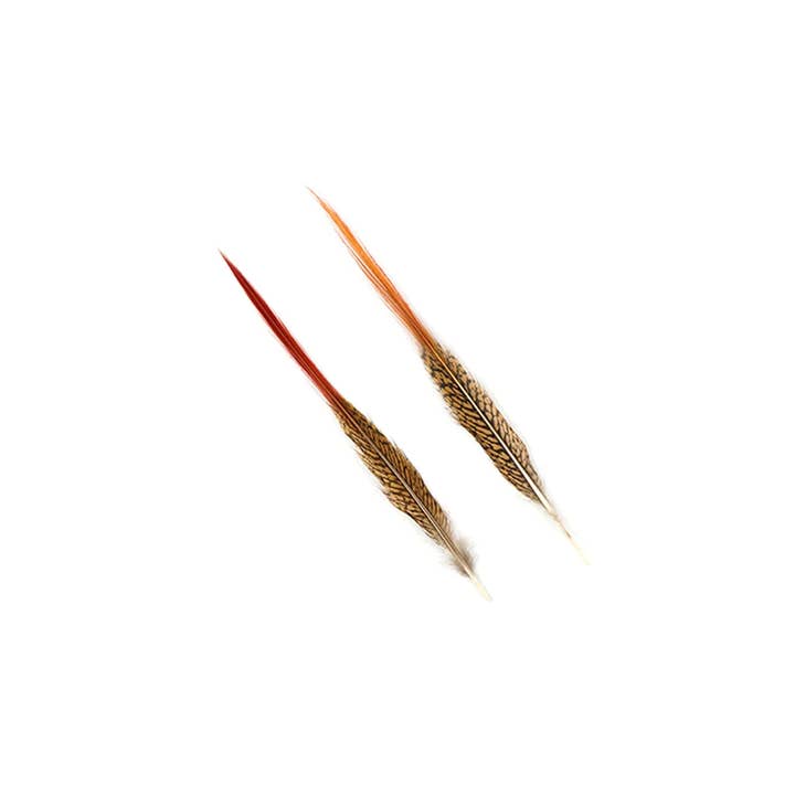 Zucker Feather Products - Wholesale Craft Supplies - 10 PC/PKG Golden Pheasant Red Top Tails 10-12"- Natural