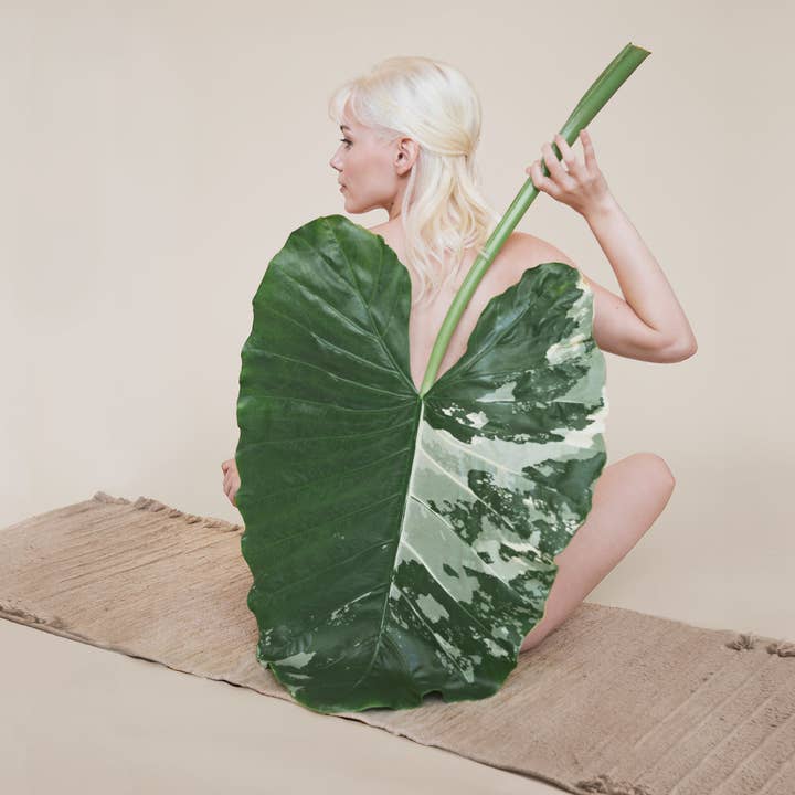 Öko Living - Wholesale Yoga Mat - Clay - Herbal Yoga Mat2