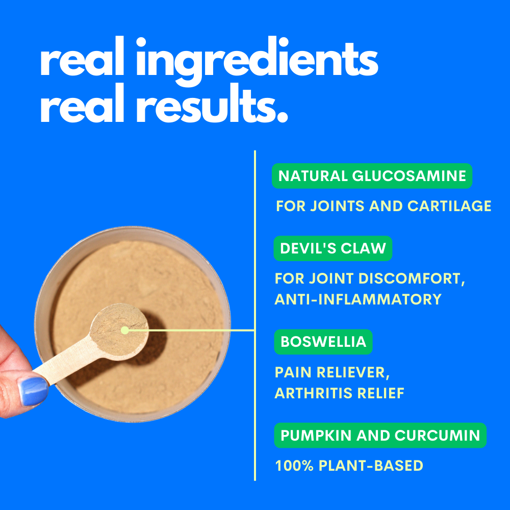 JAMPY - Wholesale Pet Supplement - Cat/Dog - My Healthy Joints - Dog Mobility Supplement Powder Plant-based 4