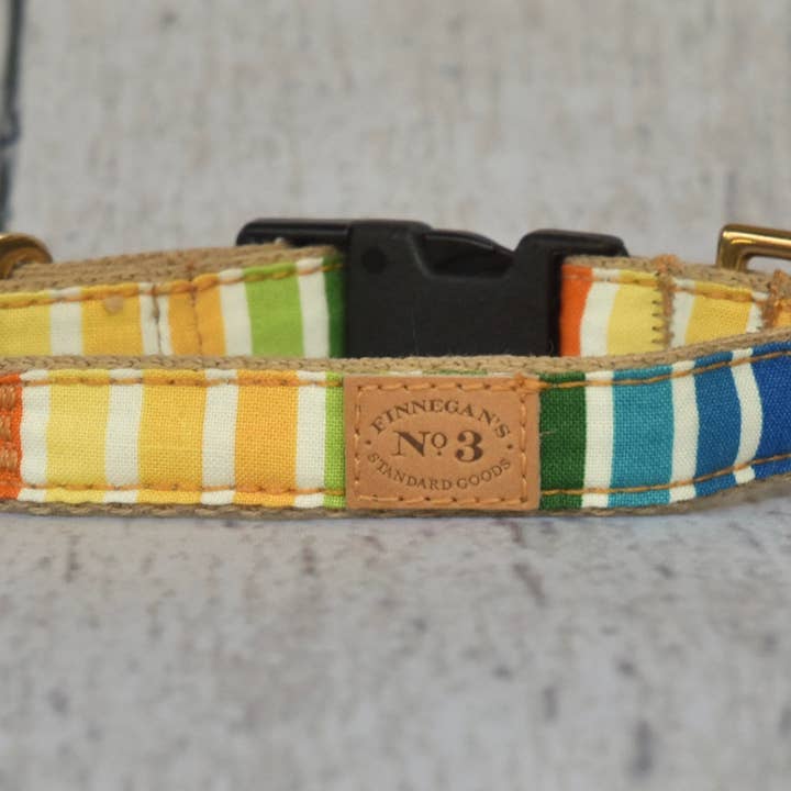 Finnegan’s Standard Goods - Wholesale Pet Leash - Dog - 1 inch Fruit Stripes Lead