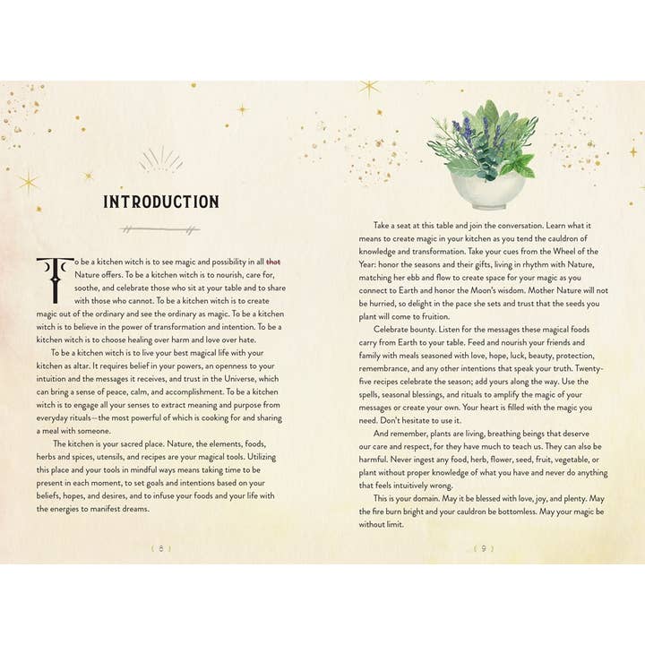 Texas Bookman - Wholesale Body, mind and spirit - The Kitchen Witch Handbook: Recipes And Potions For Everyday2
