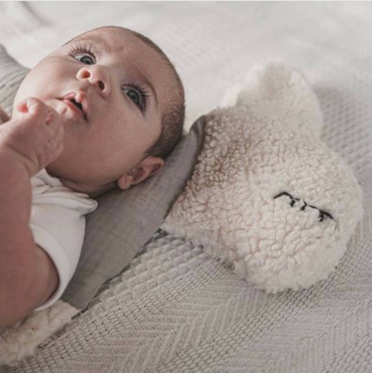 Die Gräfin – wholesale Fyllda/plyschleksaker - Barn och baby – Gosfår, Beige9