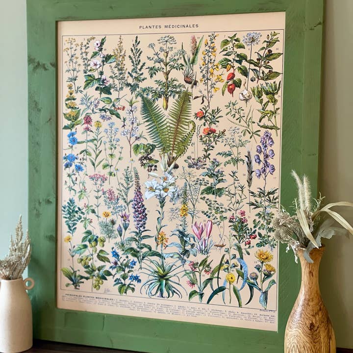 Swinford Designs - Wholesale Picture frame - Handmade Wood Frames - Ivy Green (Choose Your Size)4