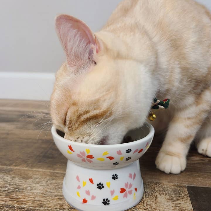 MOON-X USA, INC. - Wholesale Pet Bowl - Cat/Dog - Raised Cat Food Bowl (Sakura Limited Edition)