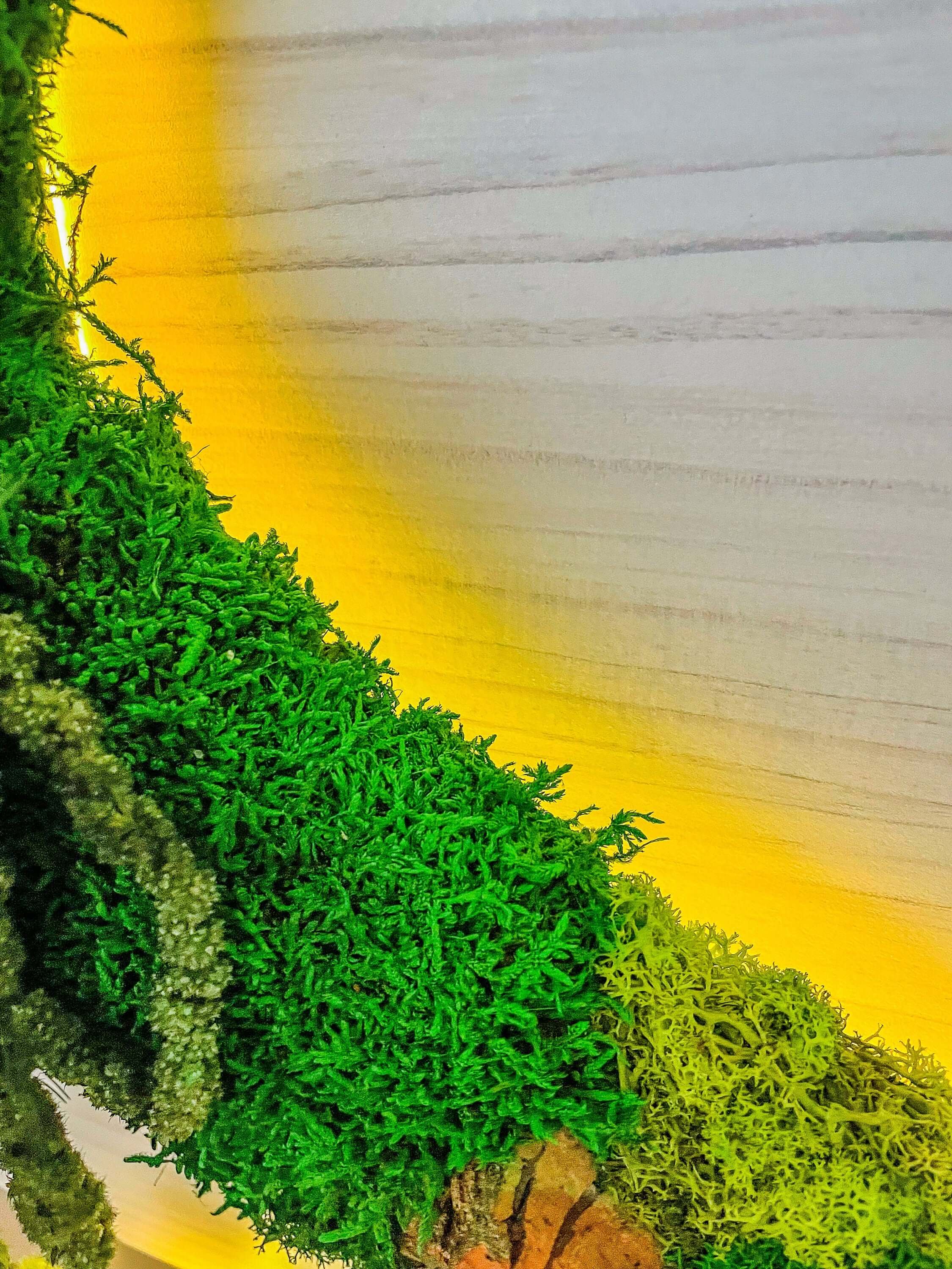 Rishstudio – wholesale Wall Accent – Custom Backlit Wall Letters | Moss Letters logo With Light | RishStudio6