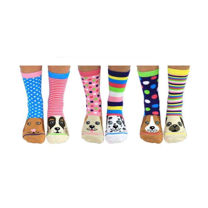 Sock Academy - Wholesale Socks - Unisex - PAWSOME | 6 Odd Socks Gift Box - United Oddsocks
