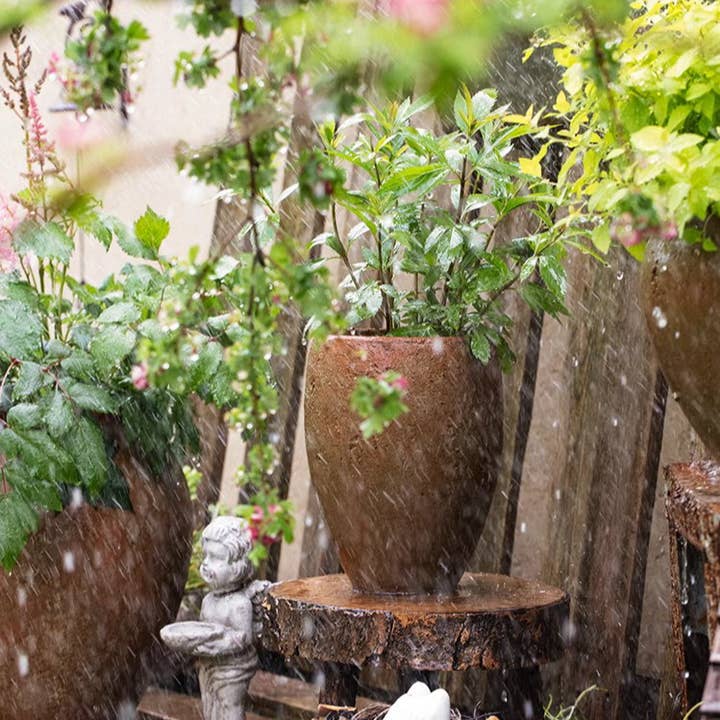 Rustic Reach - Wholesale Plant Pot - Distressed Cement Plant Pot Tall