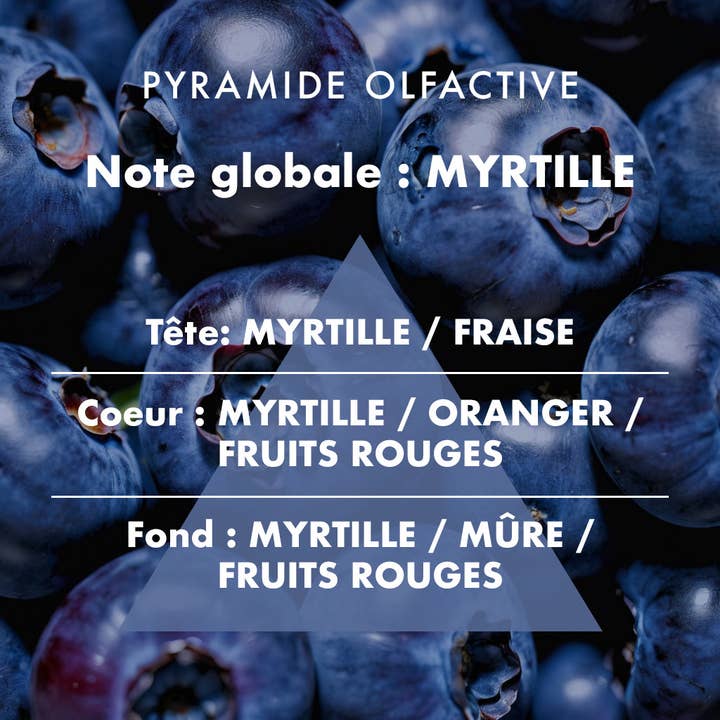 L'Échoppe Buissonnière - Wholesale Reed Diffuser - Blueberry - Refill for Reed Diffuser 200ml1