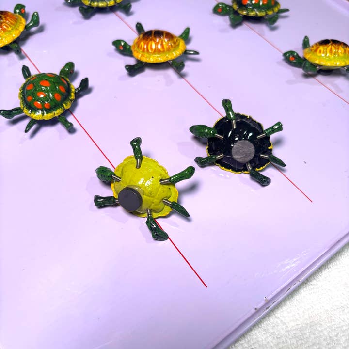 Magnets Market - Wholesale Magnet - Turtle Bobble Kitchen Magnet2