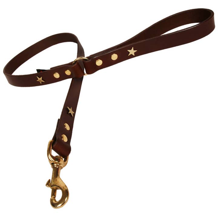 Correa para perro de cuero marrón chocolate con estrella de latón para venta al por mayor de Creature Clothes