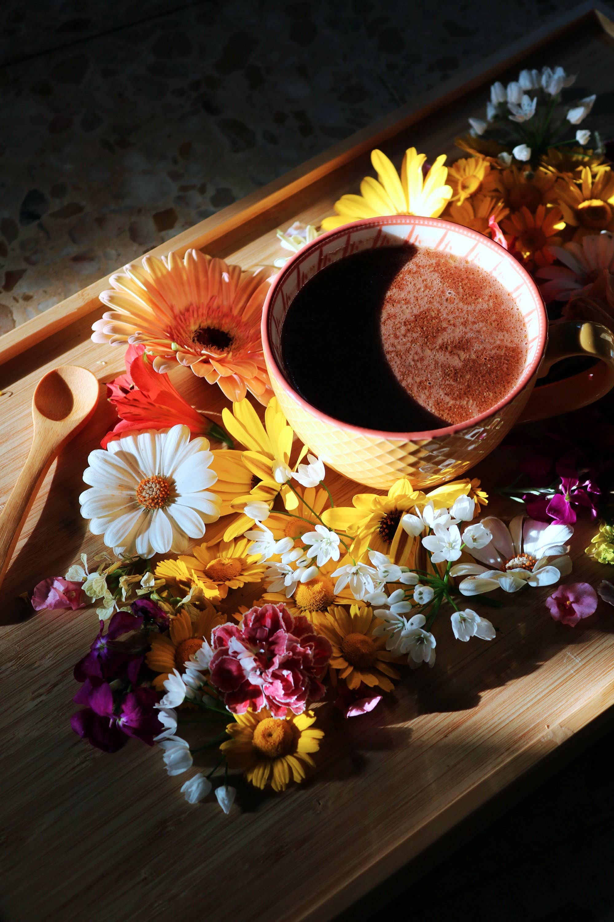 Ayamani Naturals - Vendita all'ingrosso Mix per cioccolata calda - Pasta di Cacao Cerimoniale in Blocchi 100% Criollo5