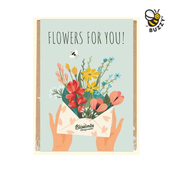 Buzzy Grow Gifts - Wholesale Plant Seeds - Organic Seed Bomb Mini Box – Flowers for You Gift Set