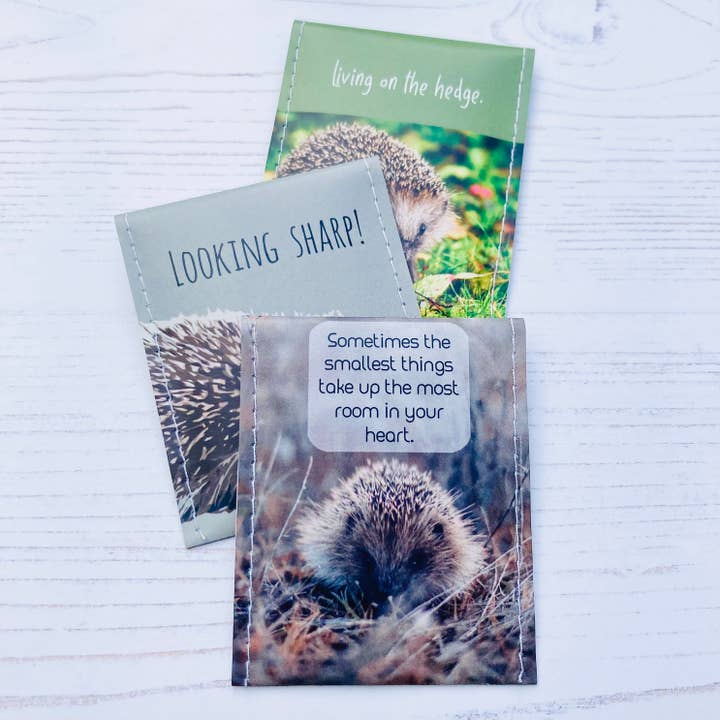 Victoria Mae Designs - Wholesale Tea bags - Hedgehog Tea Giftset8
