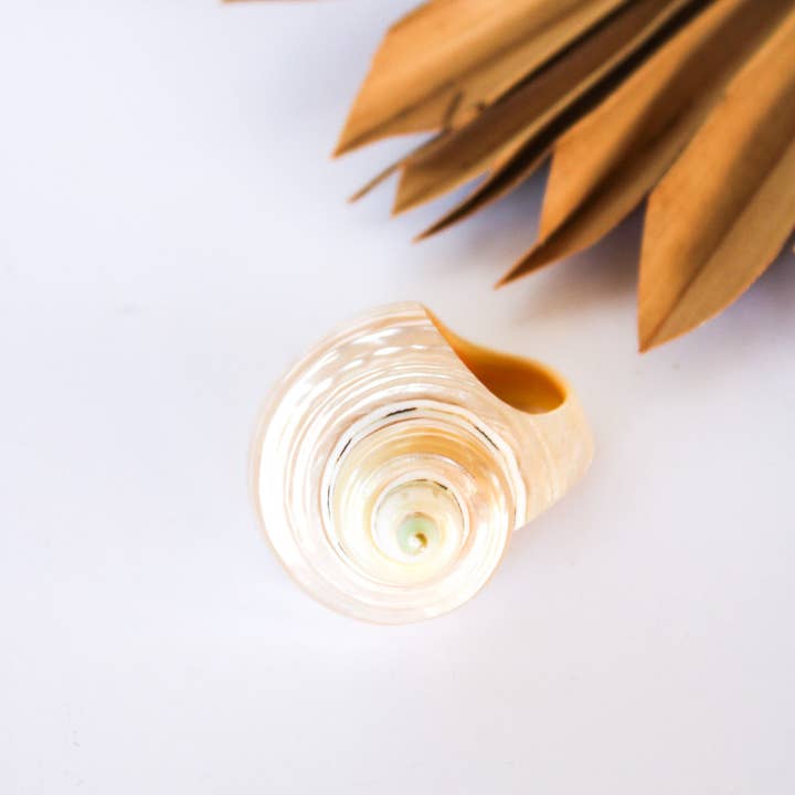 Bali Shell Rings and other Purchase Wholesale shell ring. Free Returns & Net 60 Terms on Faire trending on Faire.