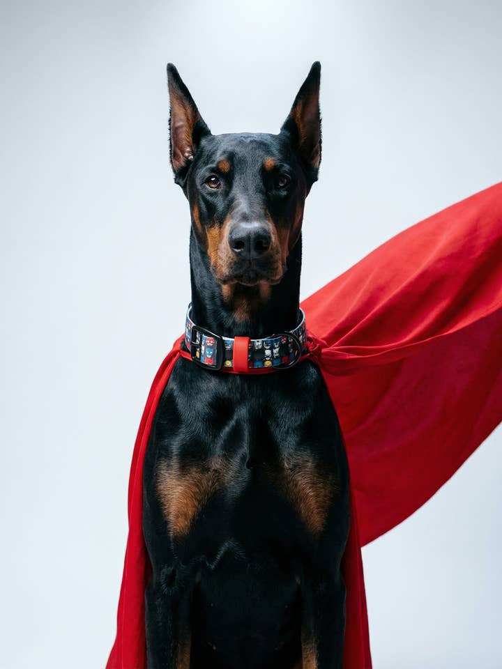 Superheroes Biothane Collar for wholesale by Barking Fancy