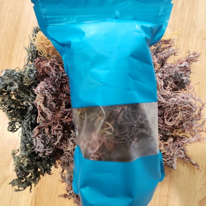 Wildcrafted RAW Full Spectrum Sea Moss 4 Oz for wholesale by Sea Moss Organics LLC