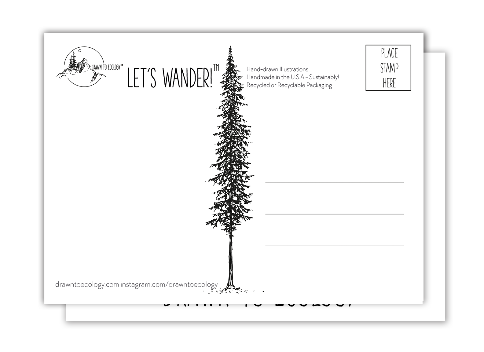 Drawn to Ecology - Wholesale Postcard - Next Steps Postcard4