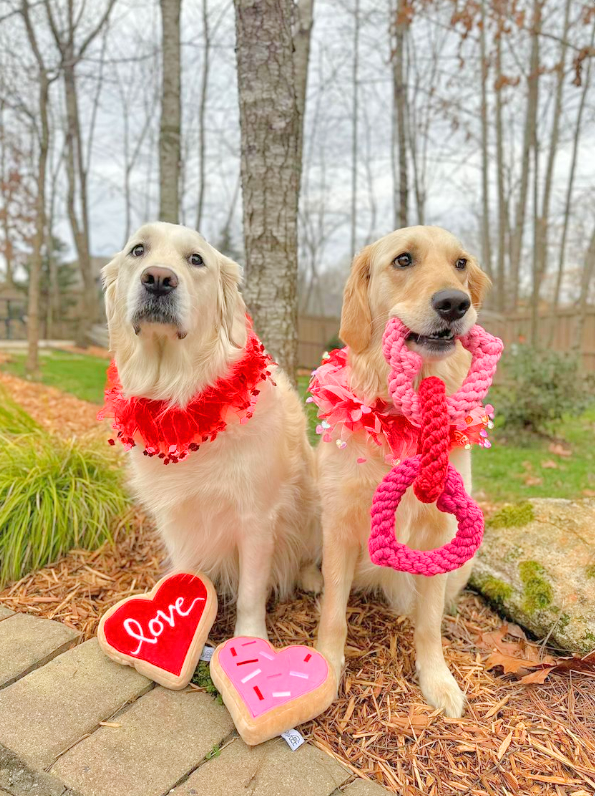 Midlee Designs - Vendita all'ingrosso Collare - Cani - Midlee - Collare decorativo per cani di San Valentino4