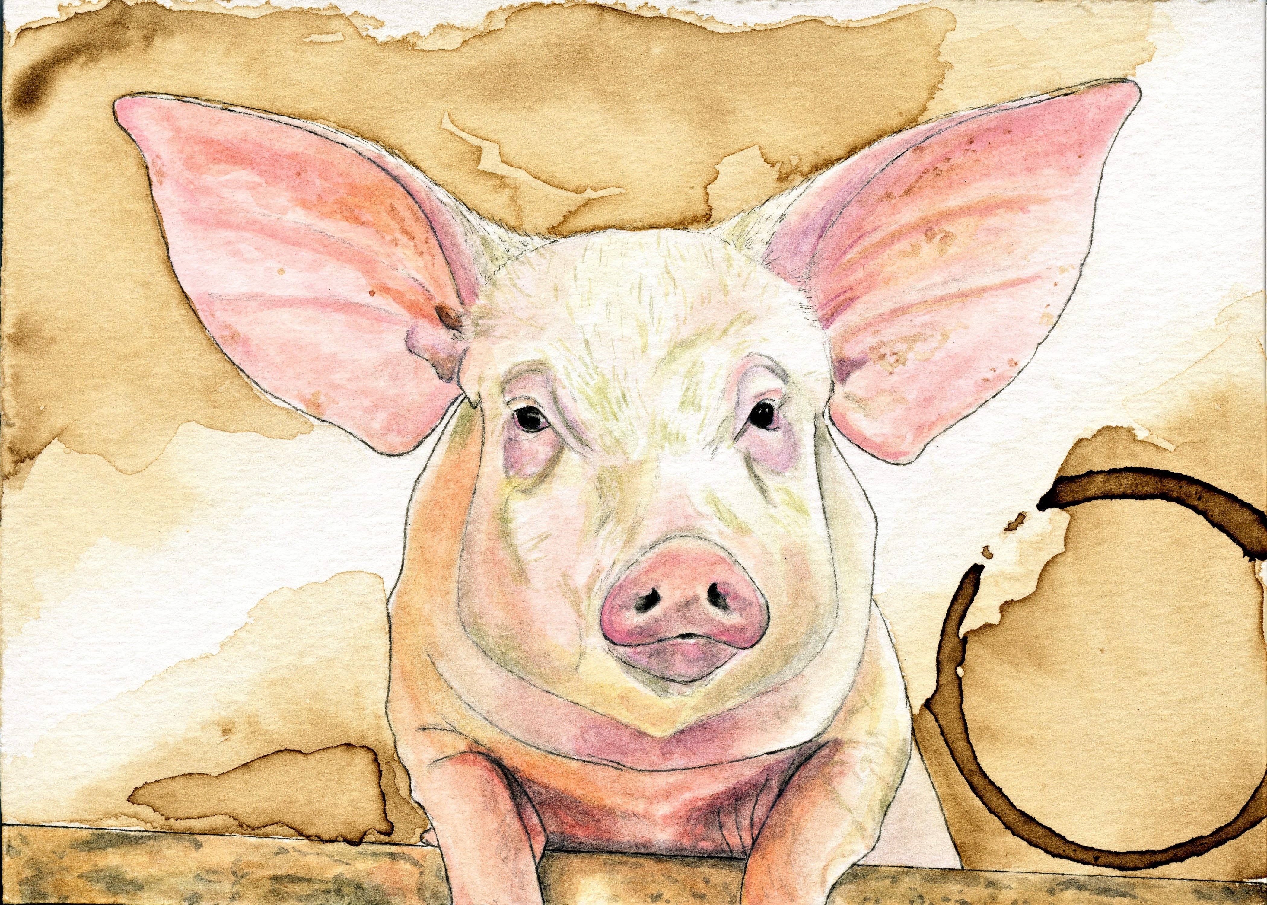 Forever Caroline LLC - Wholesale Stationery/Notecard Set - Farm Animal All-Occasion Single Cards OR Boxed Notecard Set4