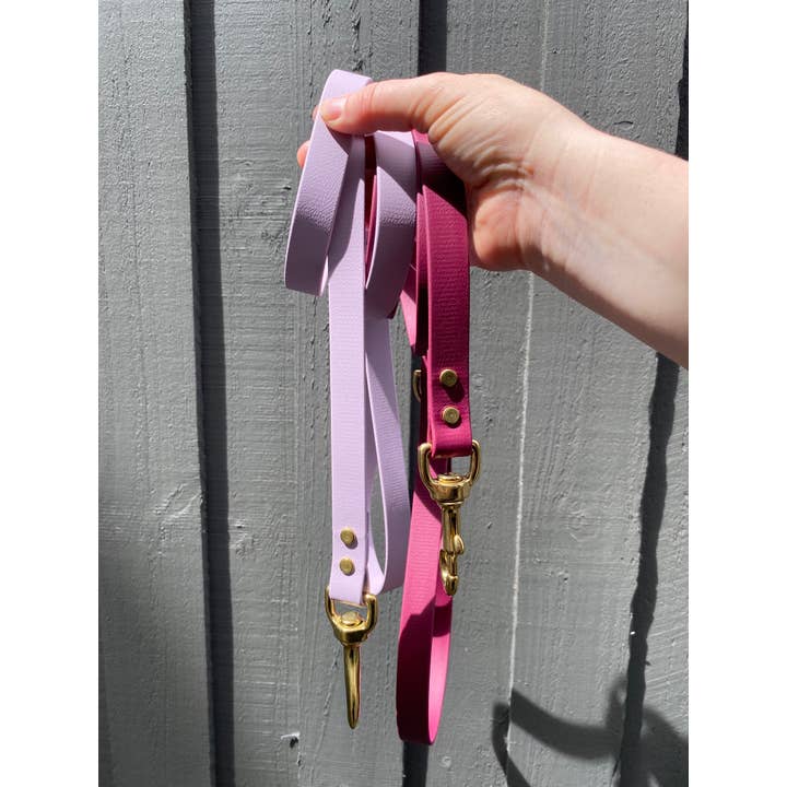 The Everyday Lead - Waterproof Biothane & Brass for wholesale by Wattle Road Studio