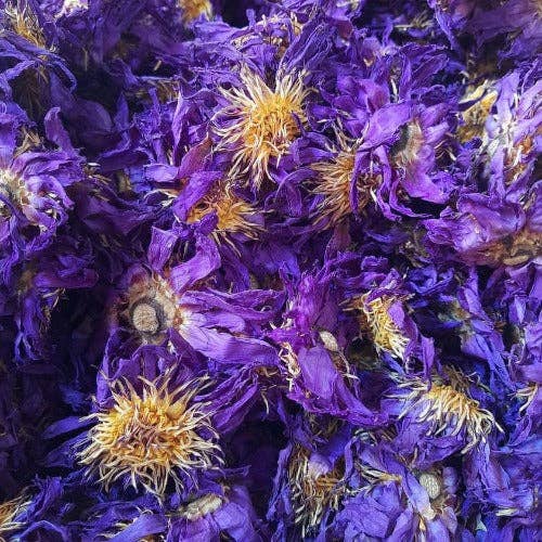 Blue Lotus Flowers (Loose Flower) for wholesale by Alchemystik