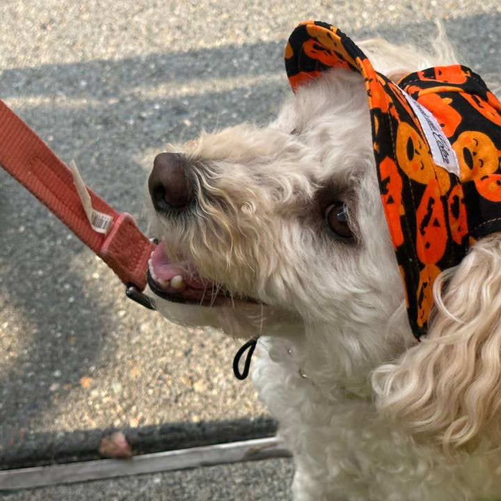 Halloween Hat – Pumpkin Patch and other Purchase Wholesale sangle coton. Free Returns & Net 60 Terms on Faire trending on Faire.