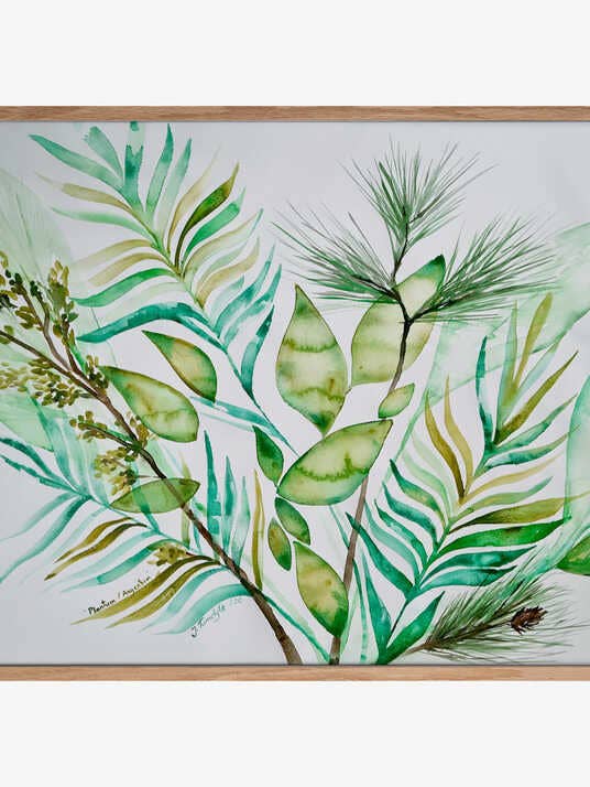 Plantum Argentum voor wholesale door Pictufy Wholesale