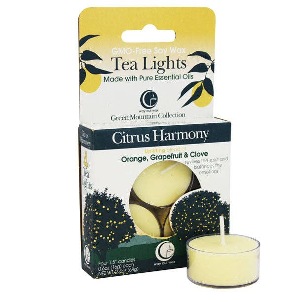 Citrus Harmony - Tealight Candle 4-pack for wholesale by Way Out Wax