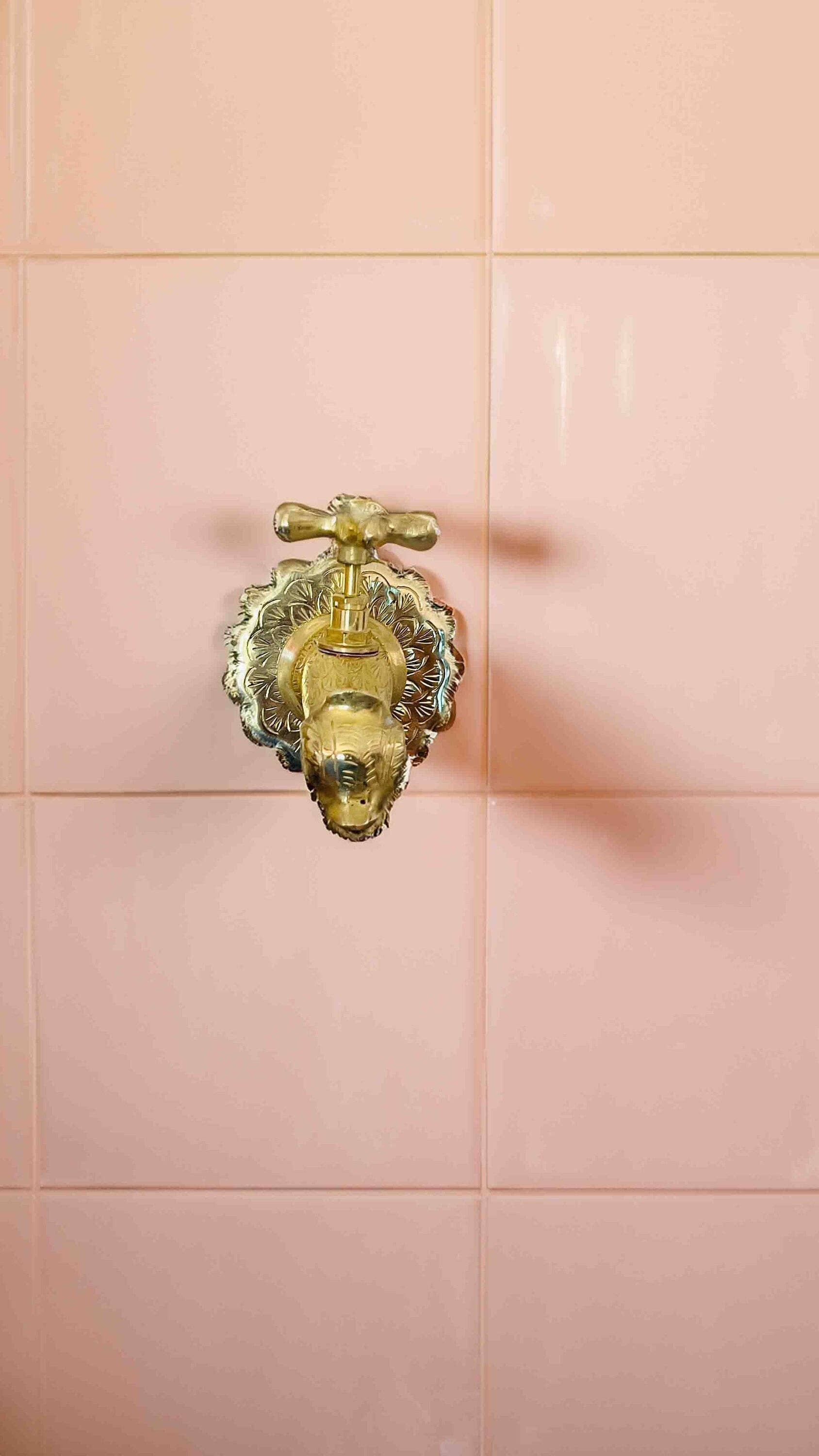 Palmeraies - Wholesale  - Brass Bathroom Faucet - Unlacquered Bathroom Faucet1