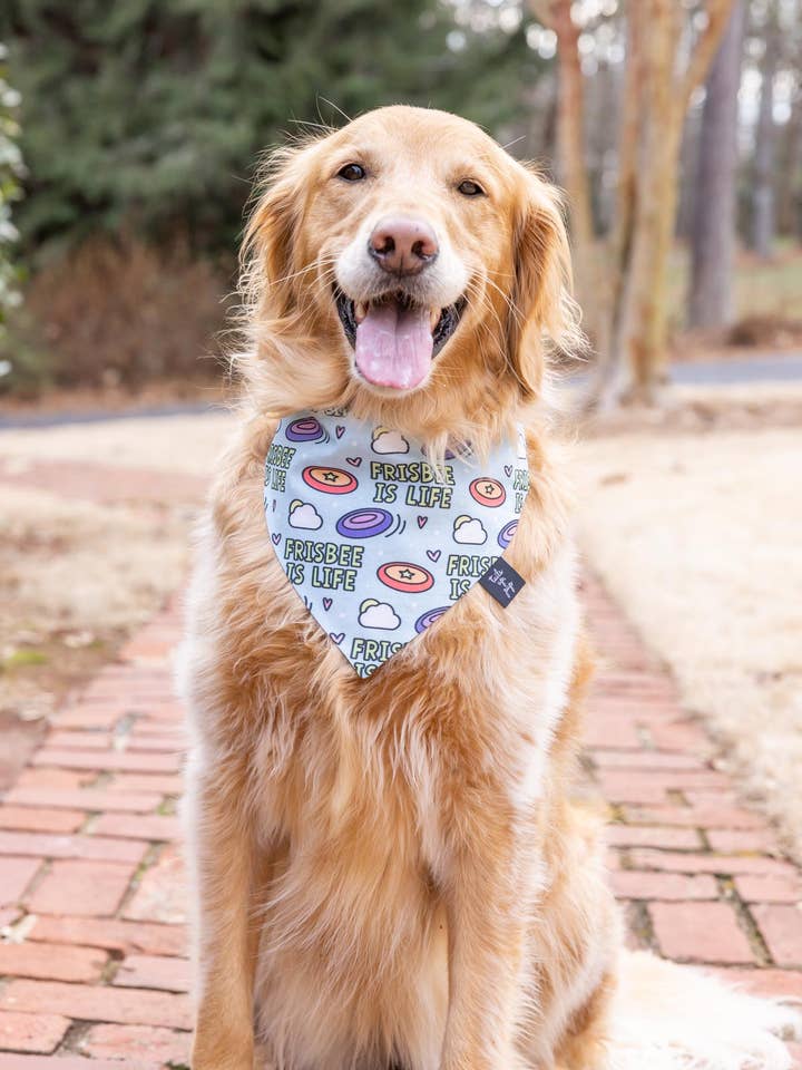 Frisbee Is Life hondenbandana, Dog Mom, Leuke hondenbandana voor wholesale door Tails Up, Pup