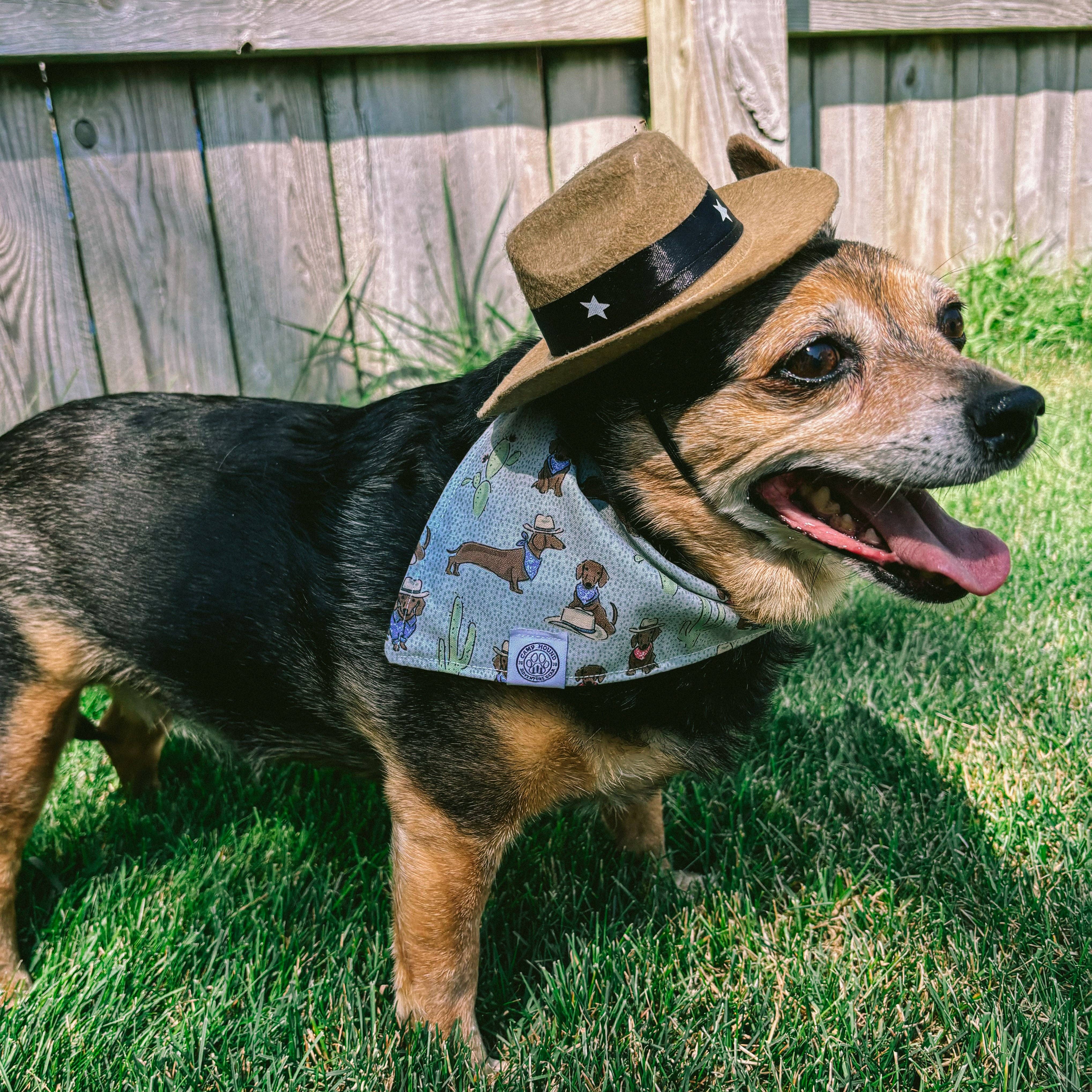 Gray Bandit Dog Bandana | Cowboy Western Boho Pet Accessory for wholesale on Faire2