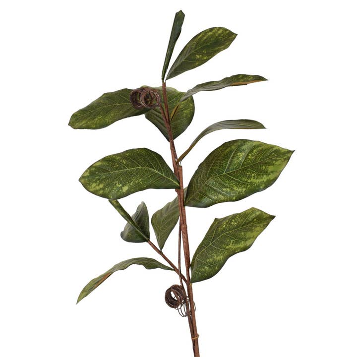 David Christopher's Collection - Wholesale Artificial Plant - 39" Magnolia Leaf Branch