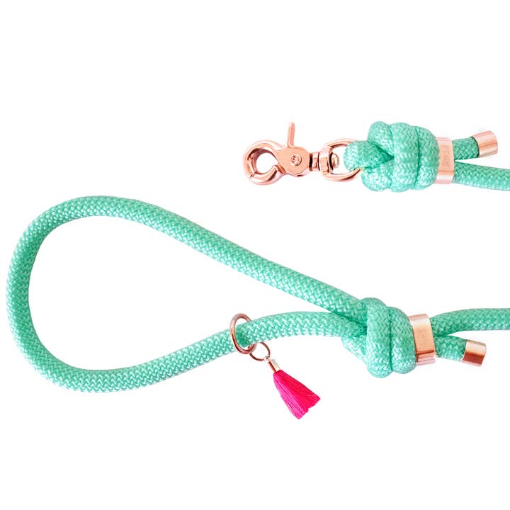 Frimousse Dog - Wholesale Pet Leash - Dog - “Turquoise” paracord dog leash