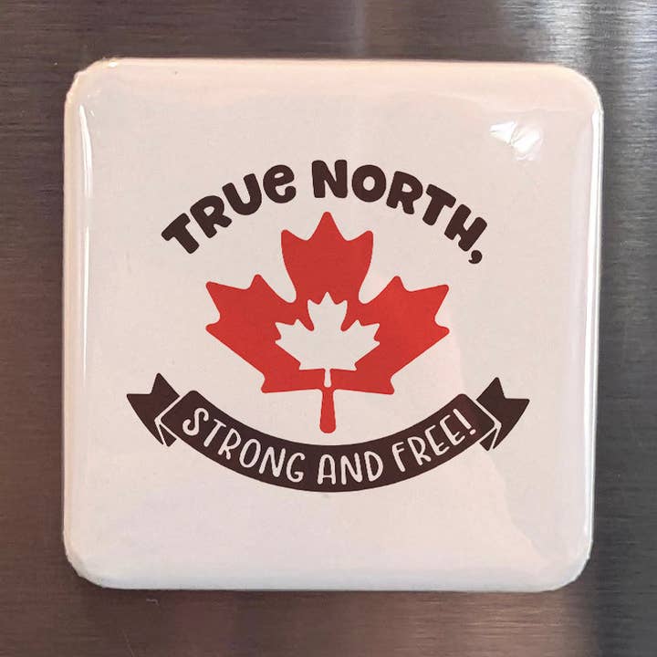 Calamita da Frigo True North per la vendita all'ingrosso da parte di PhiloPerse