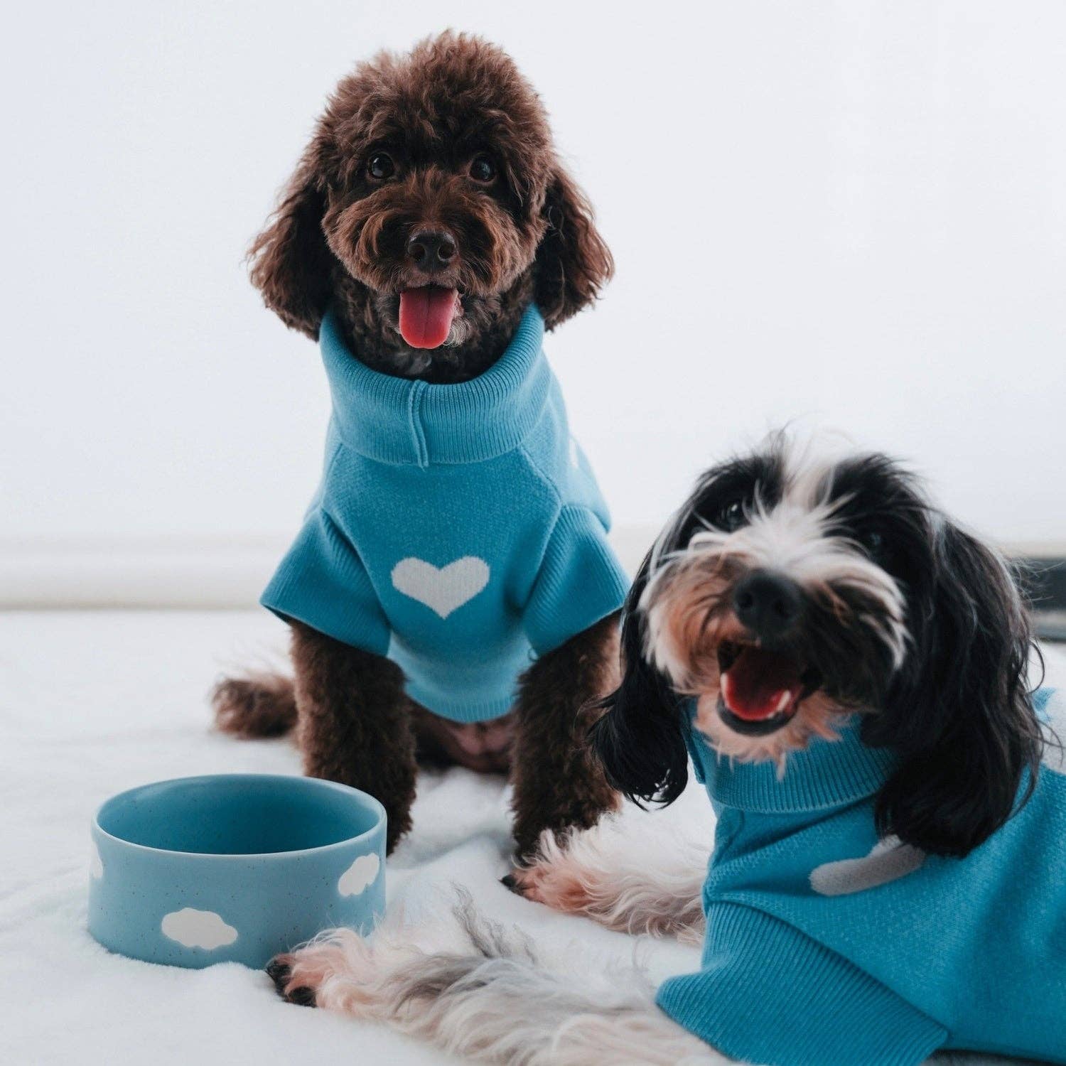 Egg Back Home - Wholesale Pet Bowl - Cat/Dog - Cloud Pet Bowl 16,5cm 2 Pieces Set1