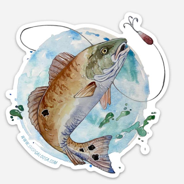 Caloosa WaterWear - Wholesale Sticker - Caloosa Vinyl Sticker 10 Packs11