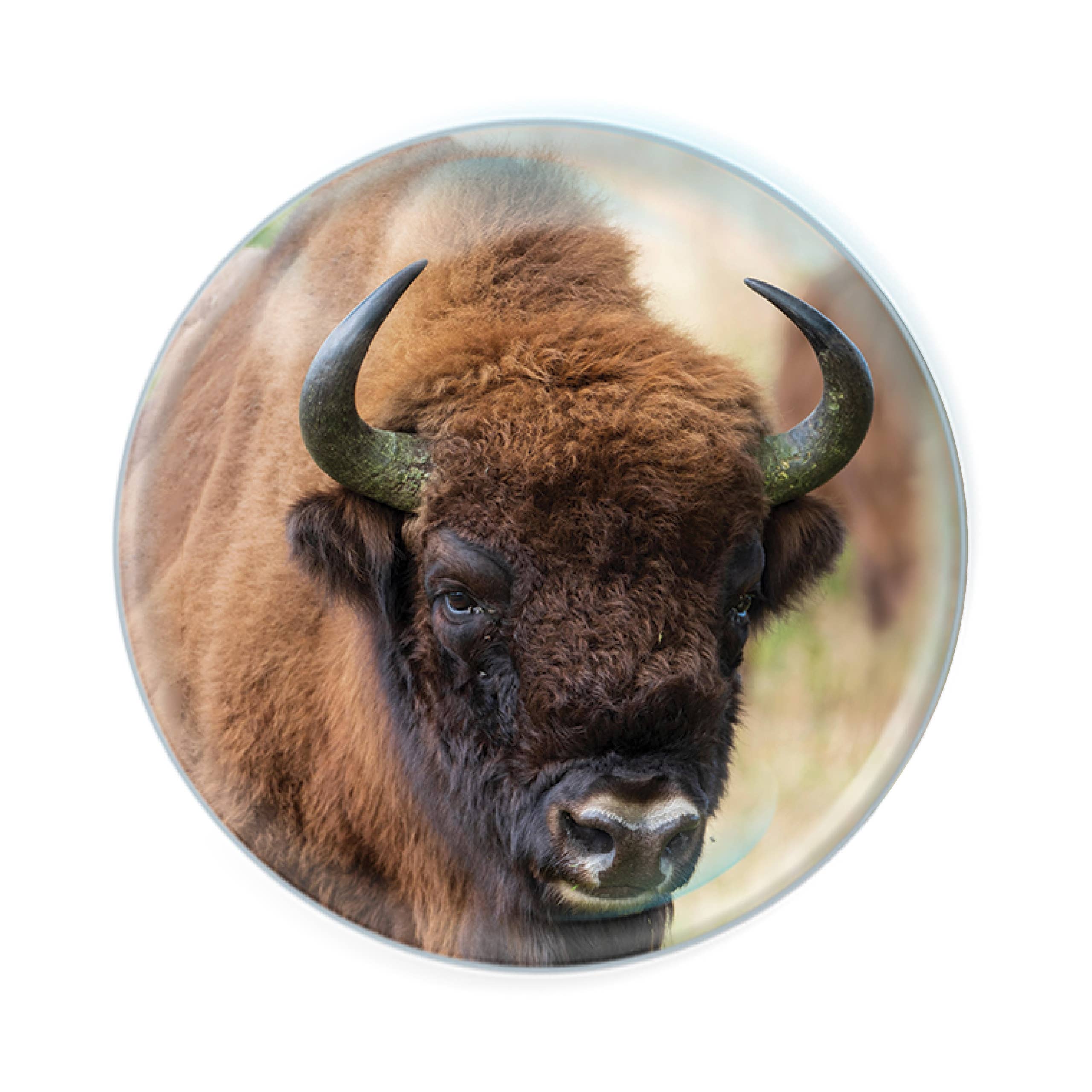 Deluxebase - Wholesale Magnet - Magnidomes - Bison Fridge Magnet0