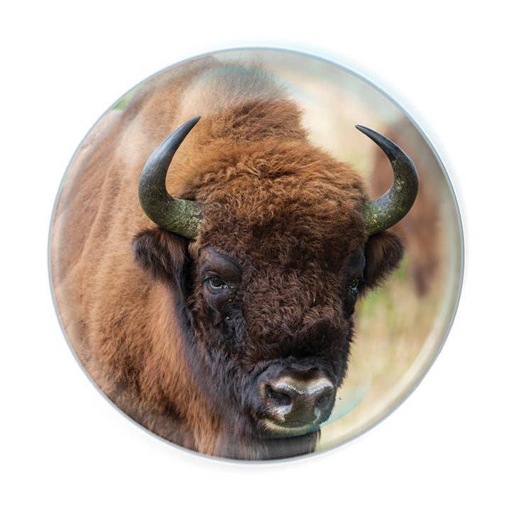 Deluxebase - Wholesale Magnet - Magnidomes - Bison Fridge Magnet0