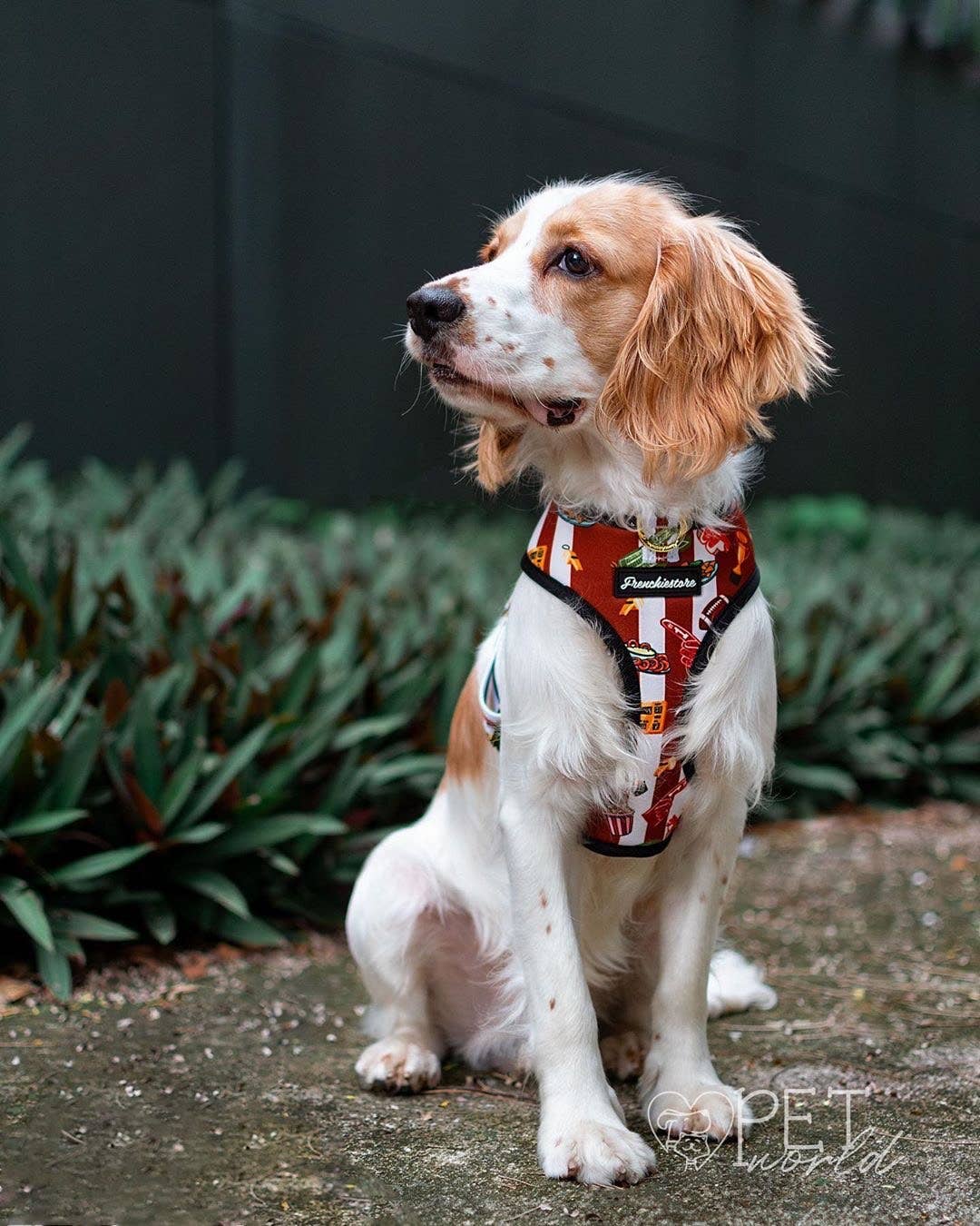 Frenchiestore - Wholesale Pet Harness - Dog - Dog Pet Reversible Health Harness | Game7